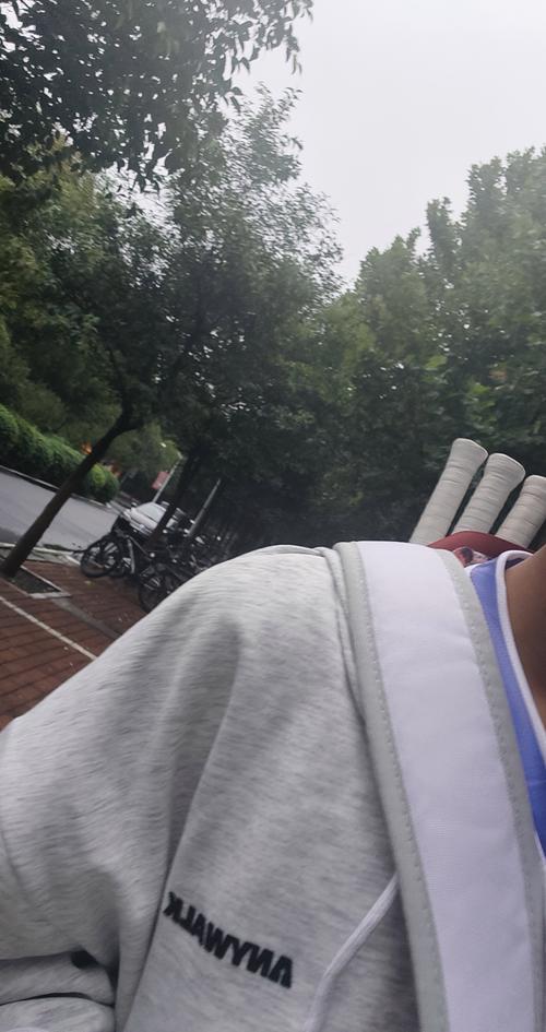 了他的季后
