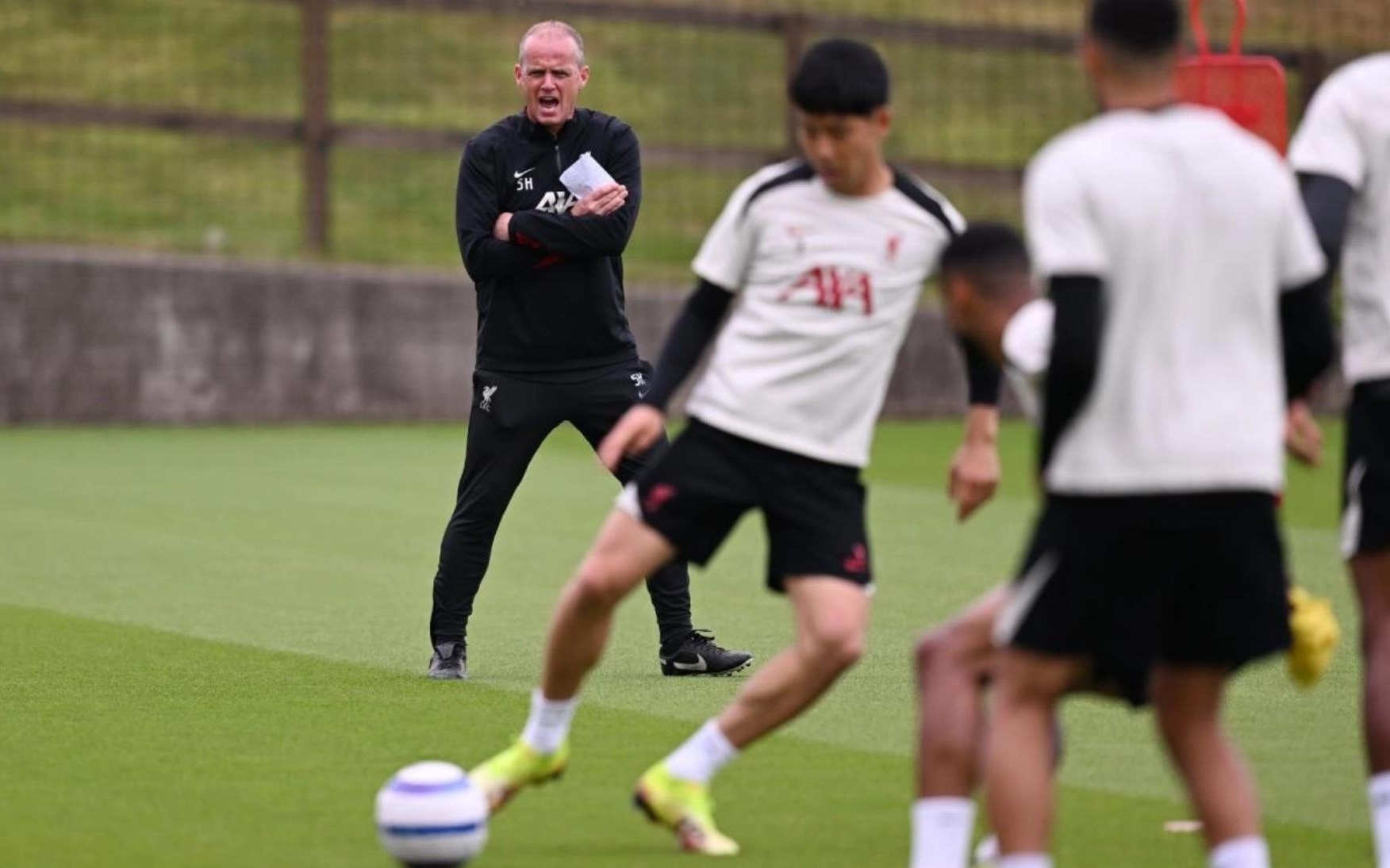 阵老将刘涛 阵老将刘涛